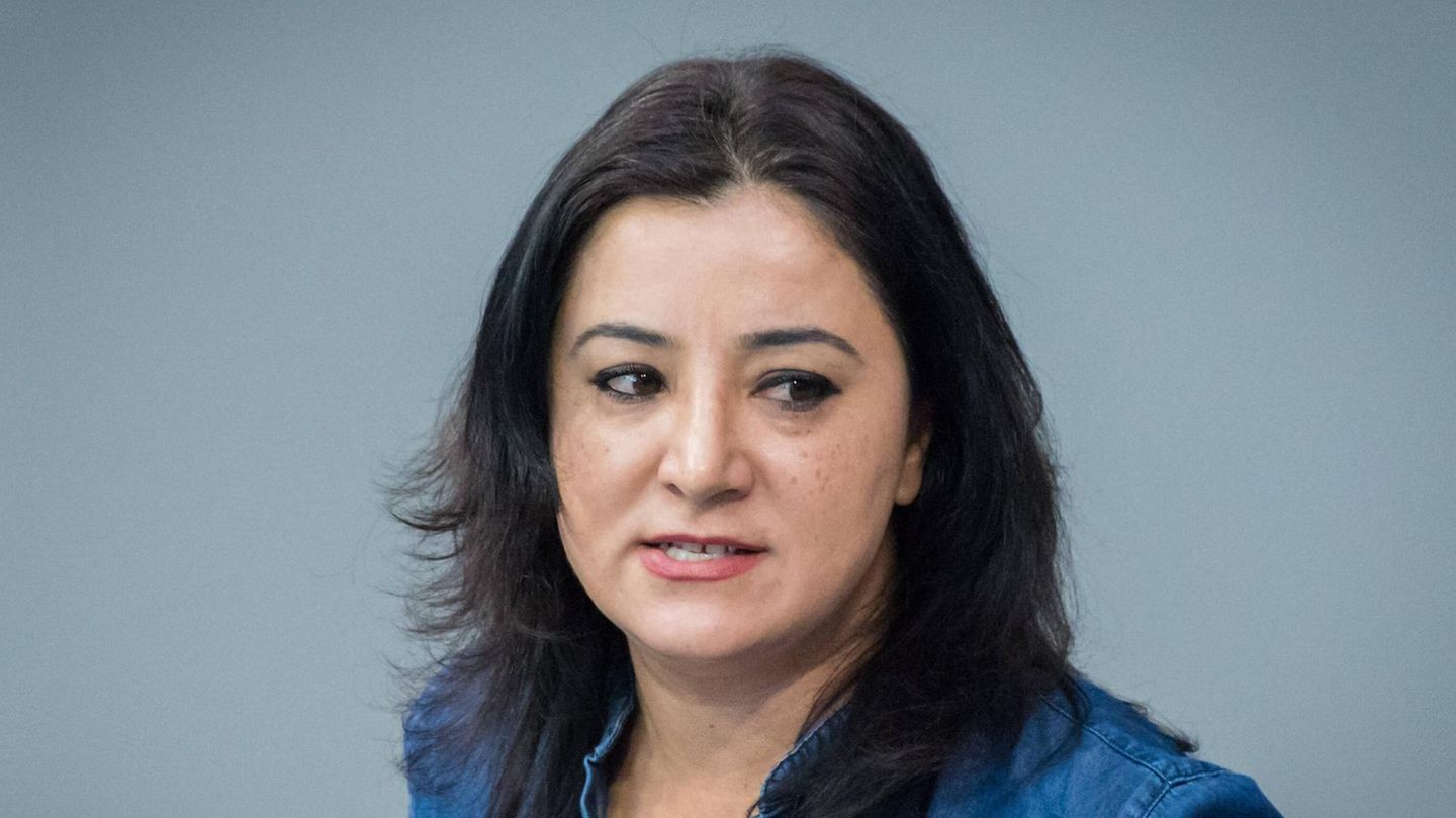 Bundestag raises the immunity of Gökay Akbulut and Ingo Hahn