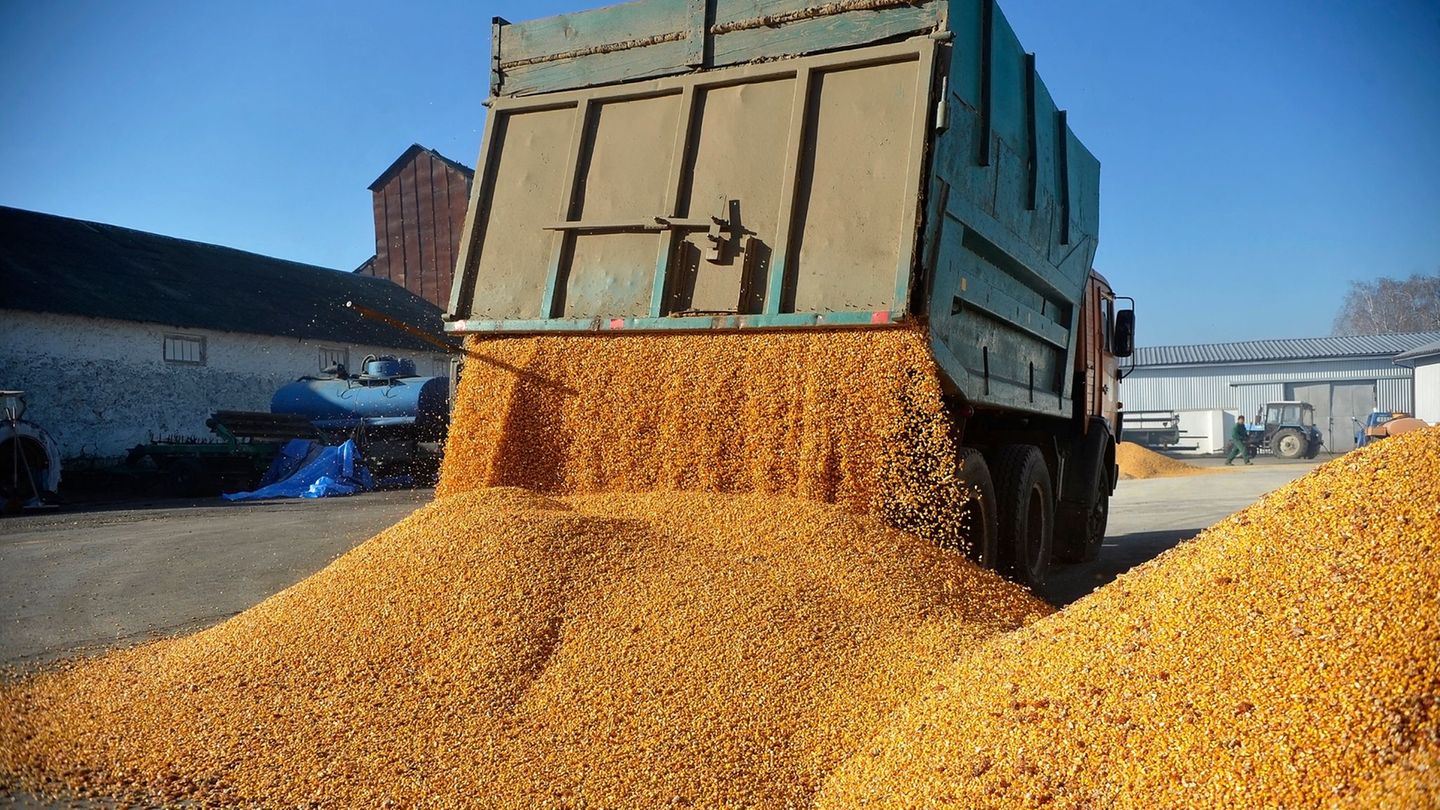 Economic aid: EU reveals trade releases for Ukraine