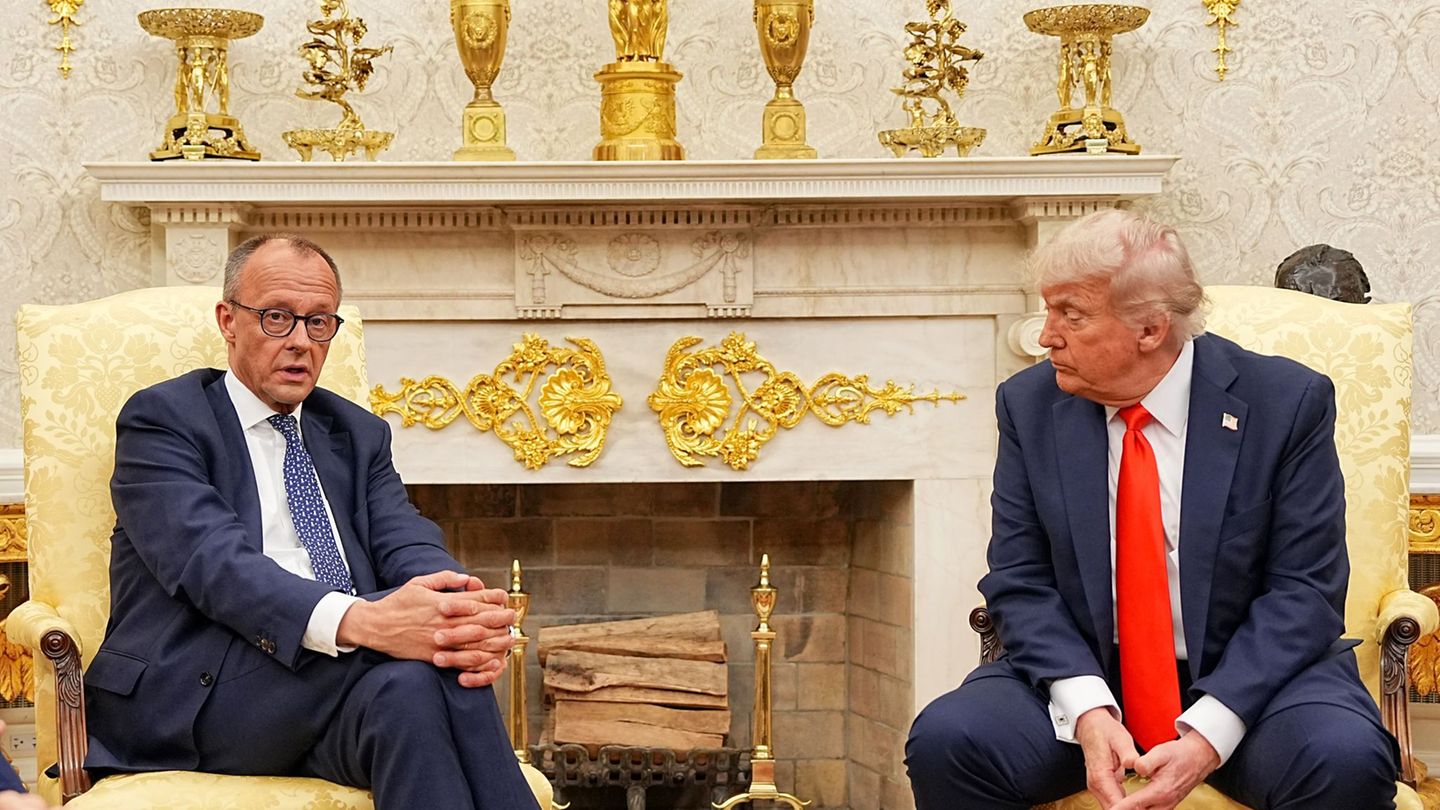 Access: Merz: During talks with Trump did not go around AfD