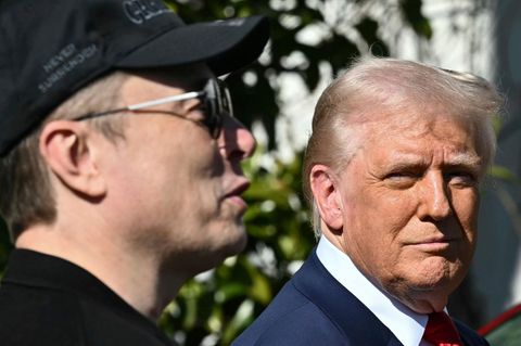 Elon Musk und Donald Trump