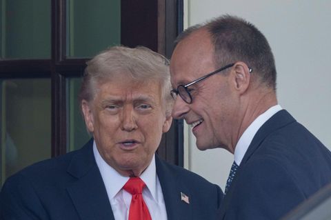 Donald Trump und Friedrich Merz