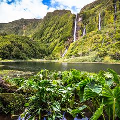 Flores, Azoren