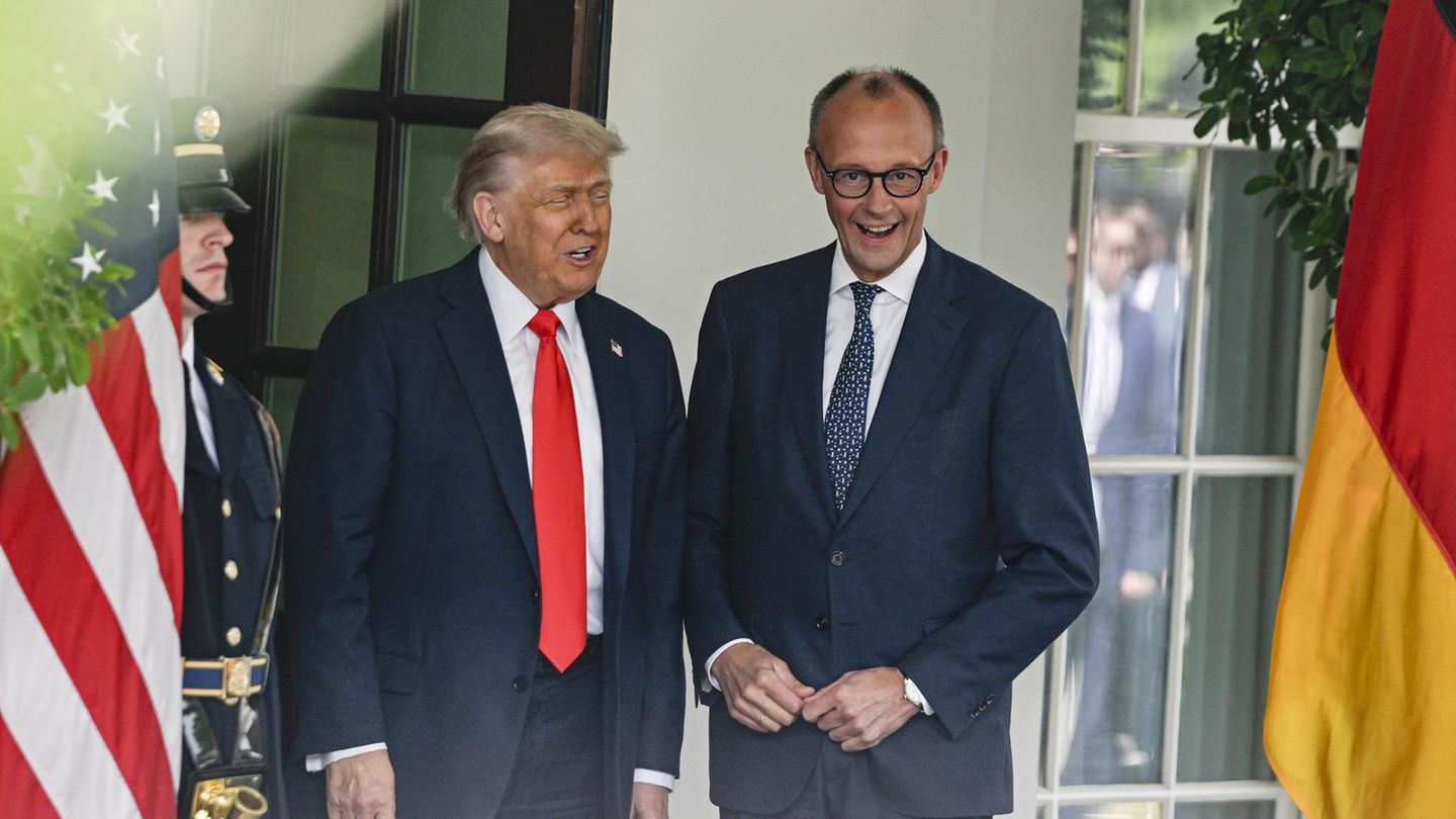 Friedrich Merz und Donald Trump