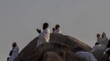 Pilger versammeln sich am Jabal al-Rahmah im Morgengrauen