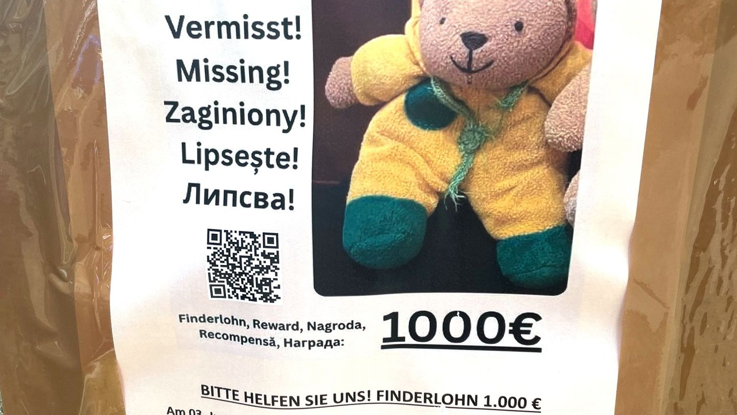 Society: Teddy desperately wanted: exposed to 1,000 euros for “mini”