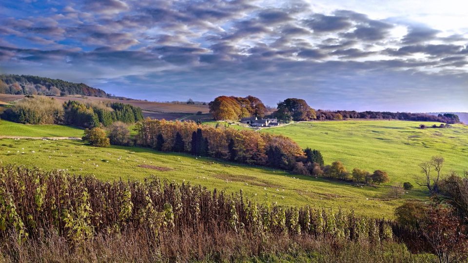 So romantisch! Die Cotswolds im Südwesten Englands. Die Beckhams haben hier ein Haus, ebenso Kate Moss, Hugh Grant oder Liz Hurley