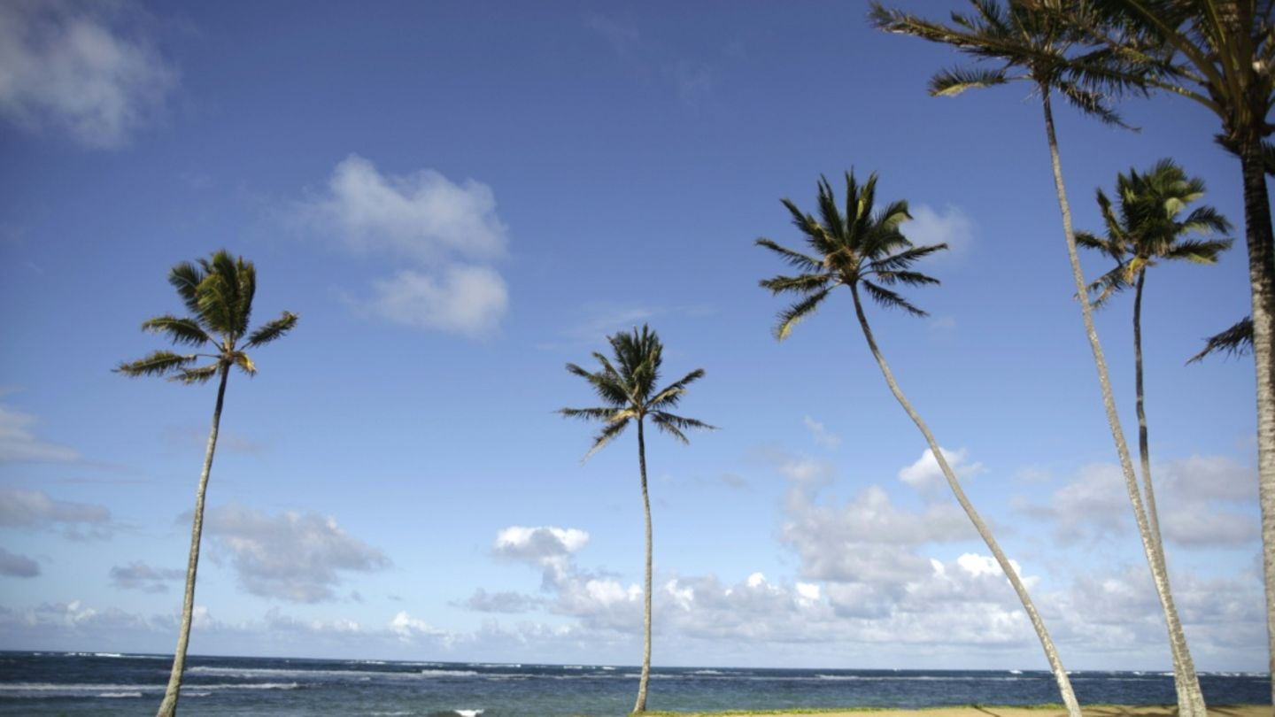 Strand an der Hawaii-Insel Oahu