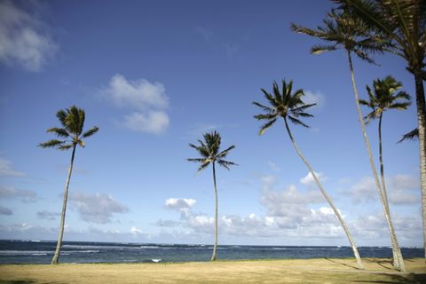 Strand an der Hawaii-Insel Oahu