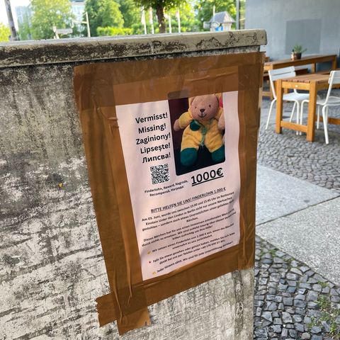 Neben den Plakaten auf Deutsch bittet auch ein eigener Webauftritt auf Englisch, Polnisch, Rumänisch und Bulgarisch um Hinweise