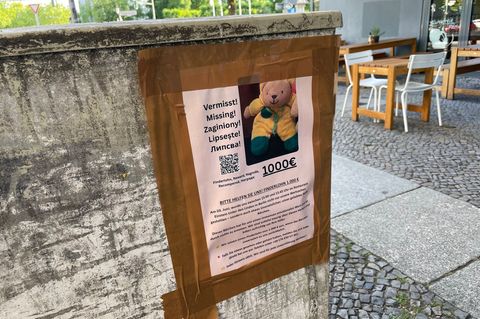 Neben den Plakaten auf Deutsch bittet auch ein eigener Webauftritt auf Englisch, Polnisch, Rumänisch und Bulgarisch um Hinweise