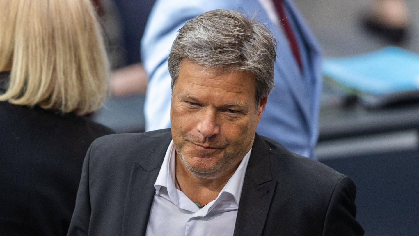 Robert Habeck’s new job: Greens politicians should teach U.S. University