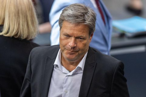 Gemeinsam mit Annalena Baerbock hat Robert Habeck in den vergangenen Jahren die Grünen geprägt