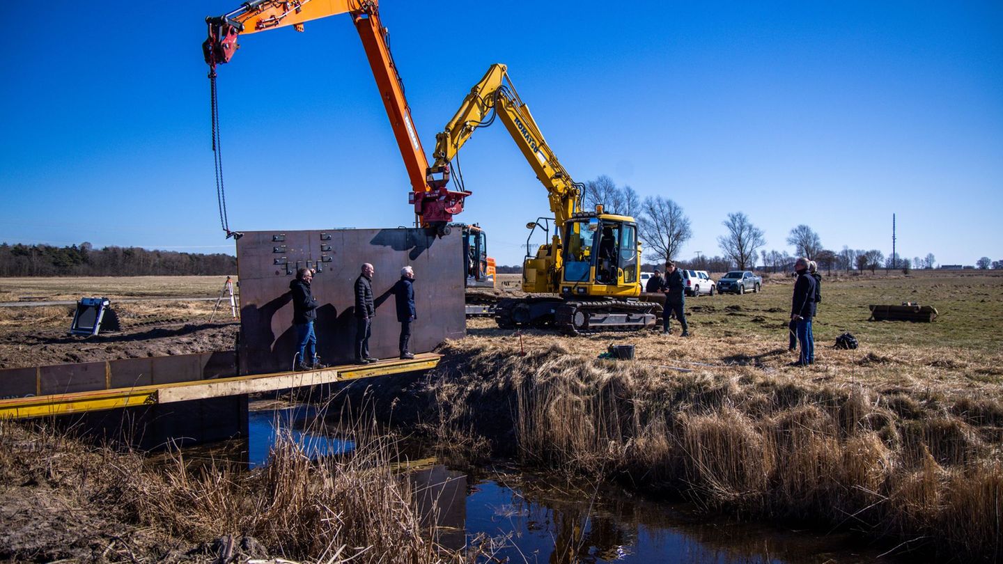 Klimaschutz-Landesrechnungshof-Land-hat-Moorschutz-Ziele-weit-verfehlt