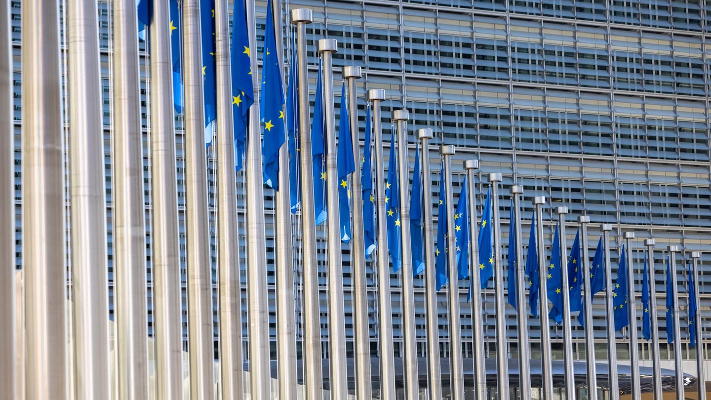 Transparency: deals with activists? EU Commission defends itself against criticism