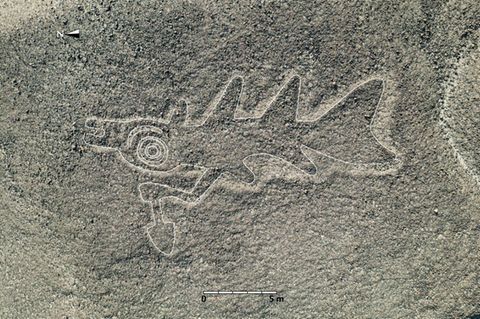 Neu entdecktes Wüsten-Scharrbild