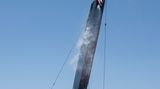 Ein F50 Renn-Katamaran der SailGP