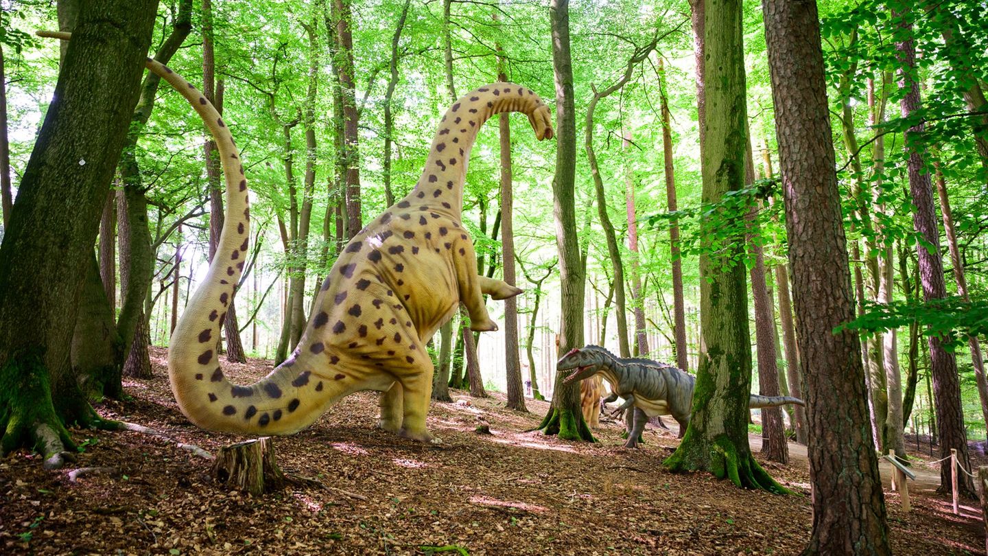 Tierpark-120-Dinosaurier-erobern-den-Wildpark-Schwarze-Berge