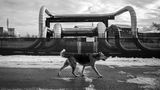 Chris Donovan: The Cloud Factory