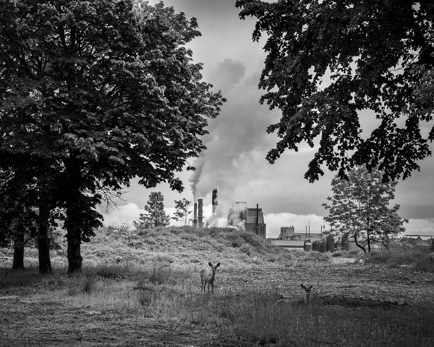Chris Donovan: The Cloud Factory
