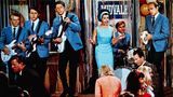 Brian Wilson und die Beach Boys treten im Film "Eine Uni voller Affen" auf