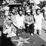 Brian Wilson und die Beach Boys knien vor ihrem Stern auf dem Hollywood Walk of Fame