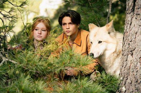Woodwalkers-Film: Zwei Teenager und ein Wolf verstecken sich im Wald