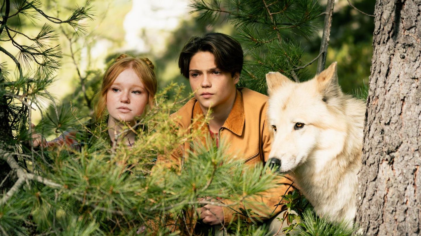 Woodwalkers-Film: Zwei Teenager und ein Wolf verstecken sich im Wald