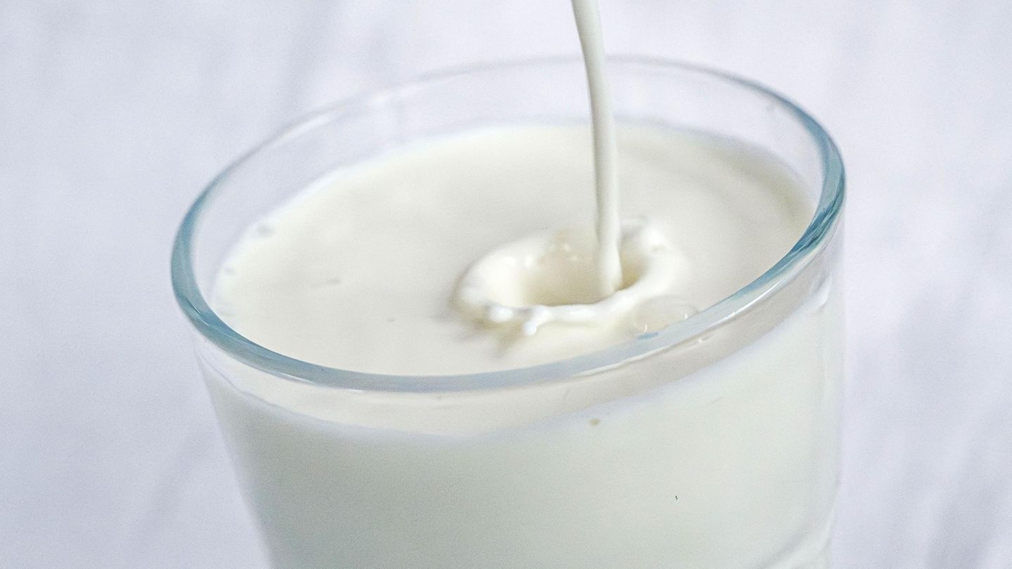 Milch Milch