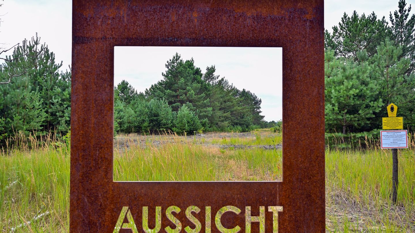 Schutzgebiete-in-Brandenburg-Statt-Bagger-und-Panzer-25-Jahre-Einsatz-f-r-die-Natur