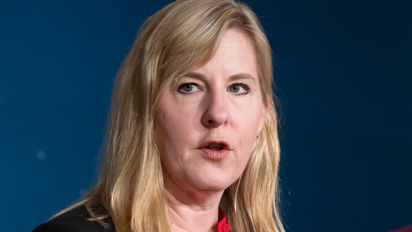 Minnesota: Democratic US politician and her husband shot