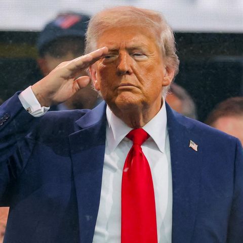 Donald Trump salutiert seiner Militärparade in Washington