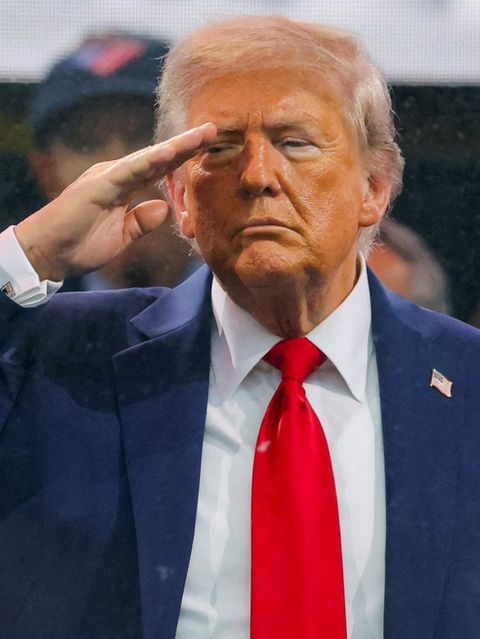 Donald Trump salutiert seiner Militärparade in Washington