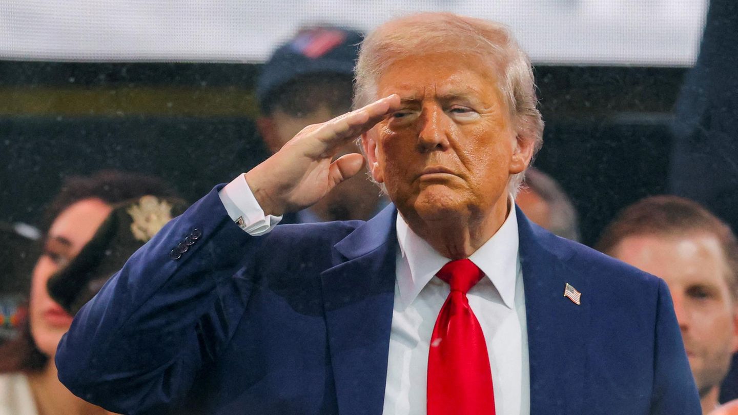 Donald Trump salutiert seiner Militärparade in Washington