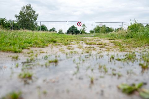 In Vechta ist der Bereich um ein Regenrückhaltebecken gesperrt, es wird dort versucht, einen Alligator zu fangen