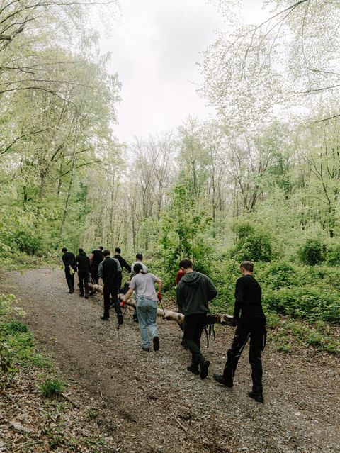 Jugendliche tragen gemeinsam einen Baumstamm durch den Wald – sie absolvieren Sozialstunden