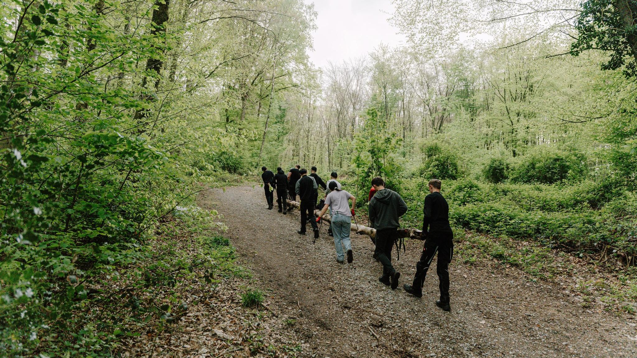 Jugendliche tragen gemeinsam einen Baumstamm durch den Wald – sie absolvieren Sozialstunden