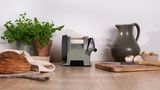 Tormek T-1 in Ash Green