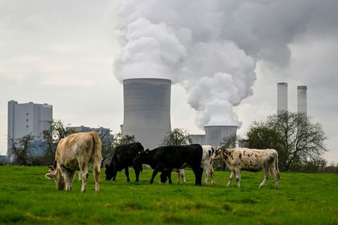Ein Kraftwerk in Nordrhein-Westfalen