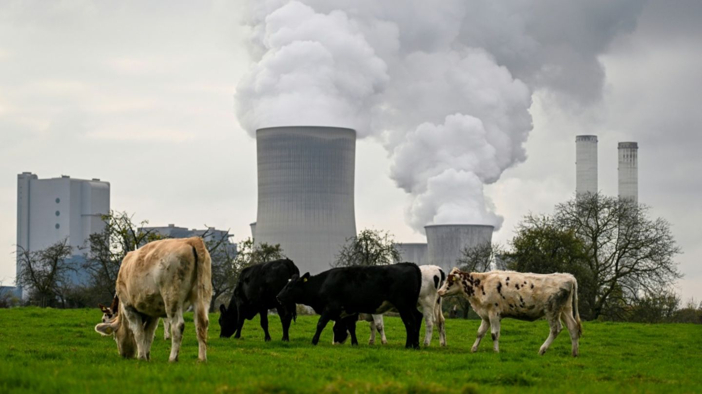 Ein Kraftwerk in Nordrhein-Westfalen