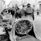 Getrocknete Koka-Blätter auf einem Markt