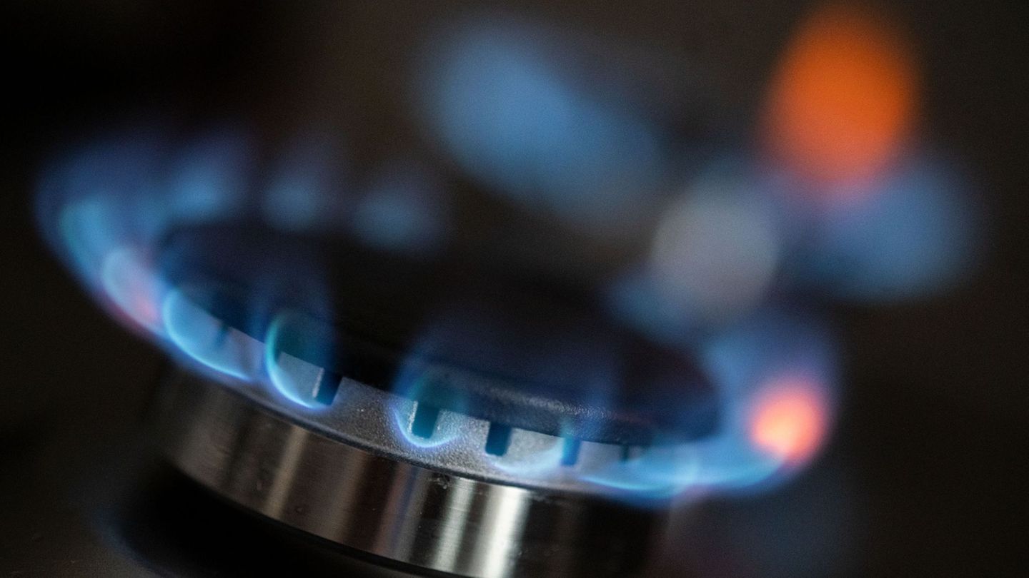 Energy: EU Commission wants to completely ban Russian gas imports