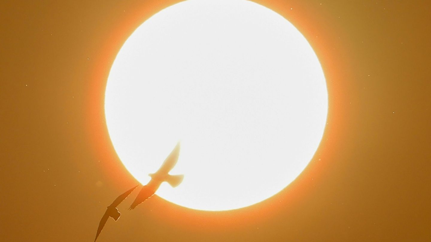Sonne