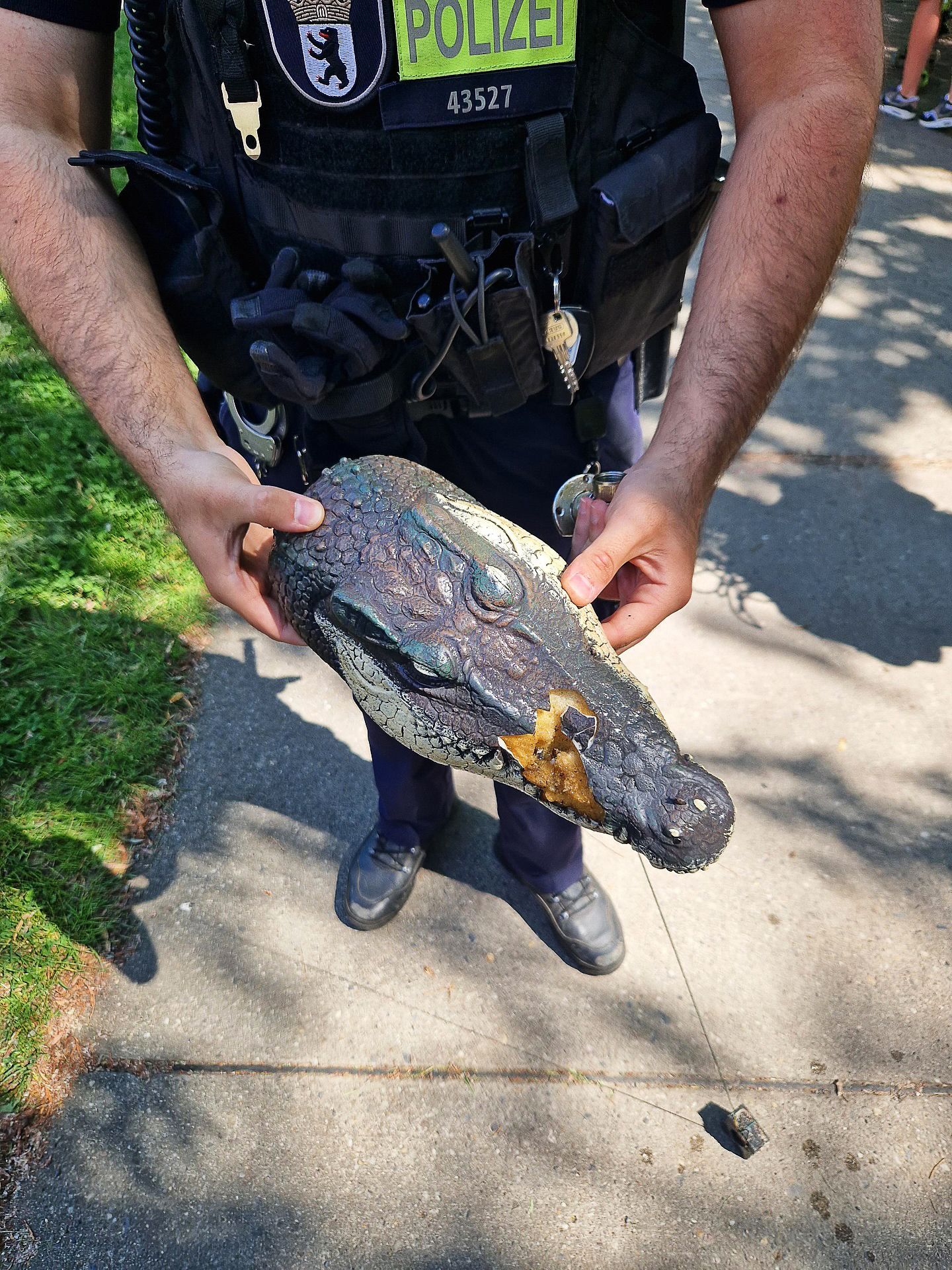 Sommerlochtier: Alligator in Vechta