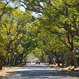 Städte-Ranking Flop 10 Harare