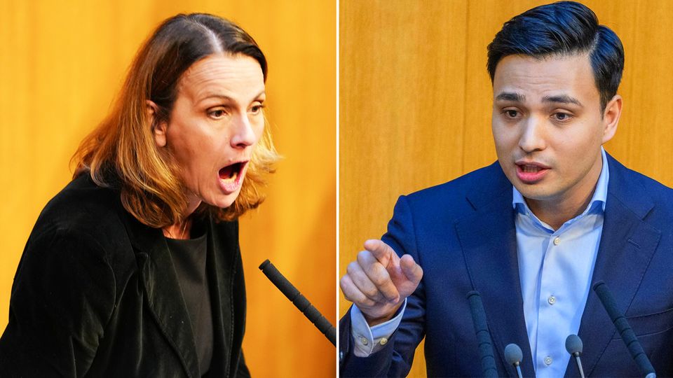 Debatte über Kriegsverbrechen: FPÖ-Abgeordnete sorgt mit Zwischenruf für Eklat