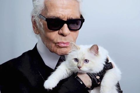 Karl Lagerfeld hält seine Katze auf dem Arm