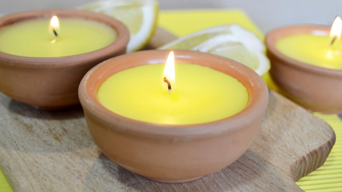 Citronella