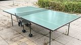 Und eine Schildkröt-Tischtennisplatte