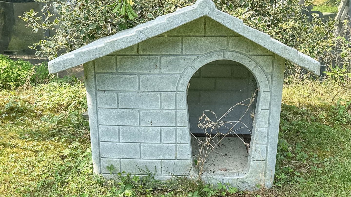 Die Hundehütte kommt überraschenderweise ohne Gold und Marmor aus