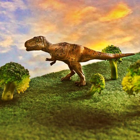 Illustration Tyrannosaurus rex: Ein Dinosaurier auf der Jagd